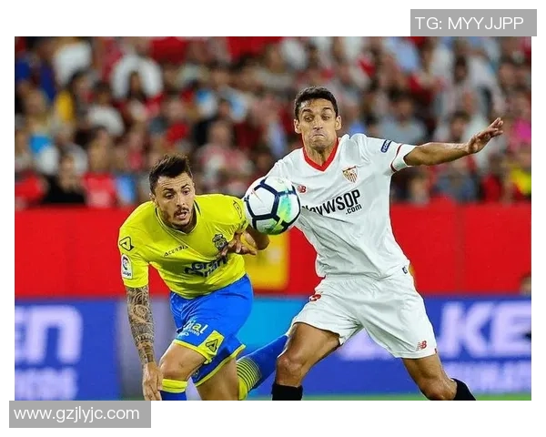 贺炜经典解说带你回顾澳大利亚与西班牙的精彩对决瞬间