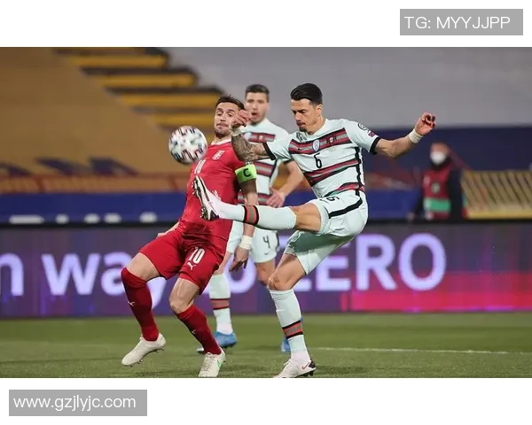 2018年葡萄牙与比利时篮球赛精彩直播回顾与分析