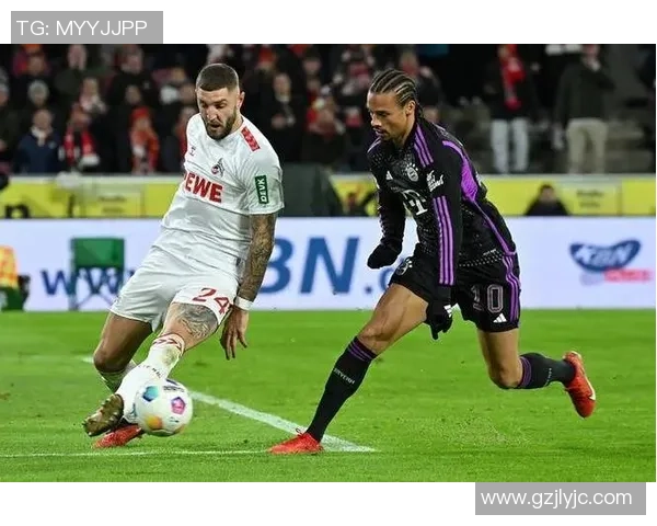 霍芬海姆与美因茨对决前瞻及比分预测分析