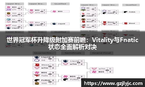 世界冠军杯升降级附加赛前瞻：Vitality与Fnatic状态全面解析对决